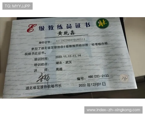 足球夏训营吸引海外教练交流战术理念，足球夏令营wbf